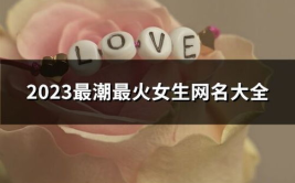 2023最火的昵称女,潮流与个性的完美融合
