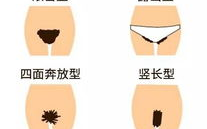 女人私密样子有几种,女性私密部位的多样形态解析