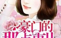 豪门女婿私密日记小说,揭开权贵背后的爱恨情仇