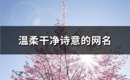 有诗意的网名,漫步文字间，邂逅美好意境