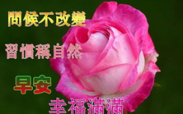 周末问候语大全,温馨祝福，传递美好时光