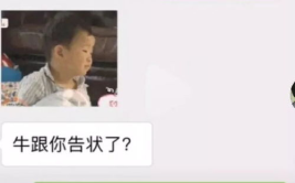 弱智打一字,探寻智力障碍的成因与影响”