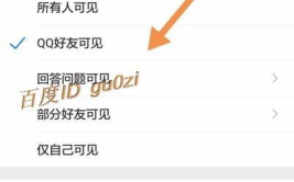 qq私密相册,隐私守护与美好回忆的守护者