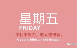 女子私密会所第二部全文免费阅,隐秘世界的秘密揭晓