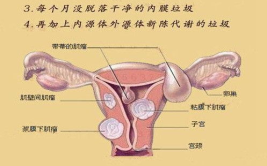 女性私密凝胶的作用,呵护女性私密健康的守护者