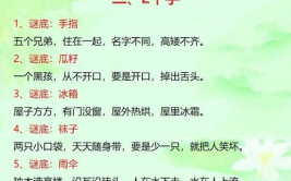 儿童谜语大全,儿童谜语大全，启迪智慧，传承文化